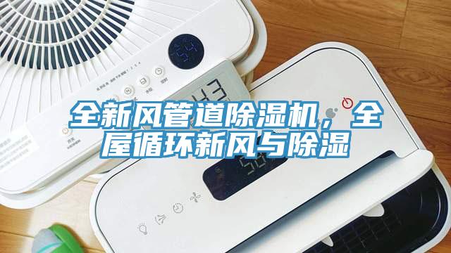 全新風管道除濕機，全屋循環(huán)新風與除濕
