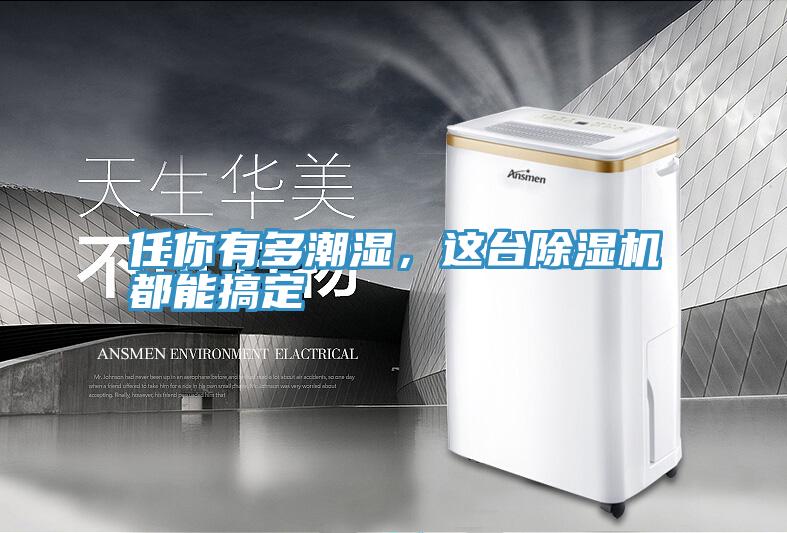 任你有多潮濕，這臺除濕機都能搞定