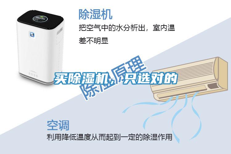 買除濕機(jī)，只選對(duì)的