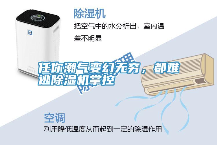 任你潮氣變幻無窮，都難逃除濕機掌控