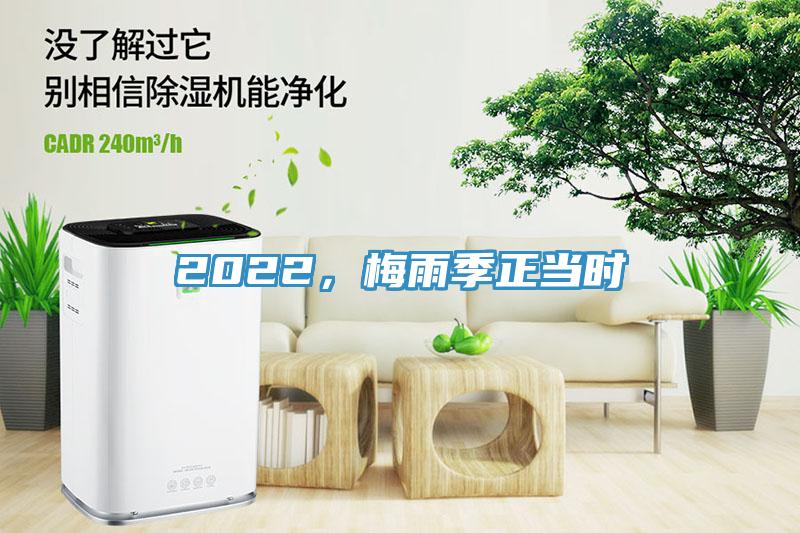 2022，梅雨季正當(dāng)時(shí)