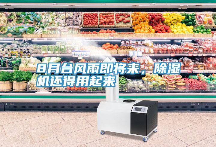 8月臺(tái)風(fēng)雨即將來，除濕機(jī)還得用起來