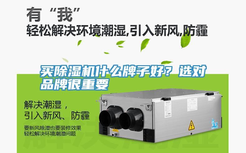 買除濕機(jī)什么牌子好？選對品牌很重要