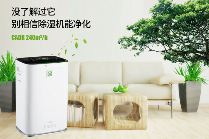 一到回南天狗狗就感冒+皮膚病，怎么辦？