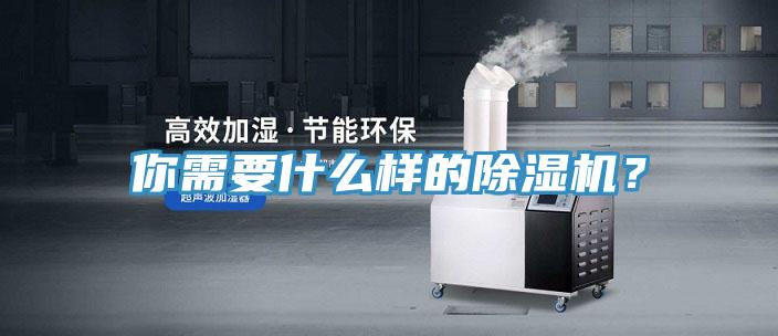 你需要什么樣的除濕機(jī)？