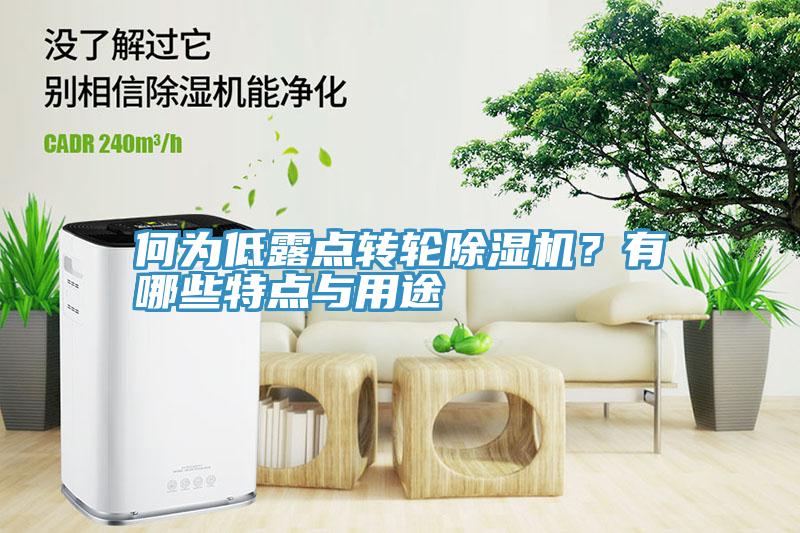 何為低露點轉(zhuǎn)輪除濕機？有哪些特點與用途