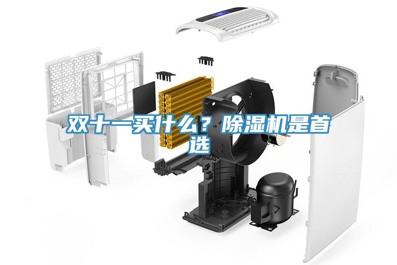 雙十一買(mǎi)什么？除濕機(jī)是首選