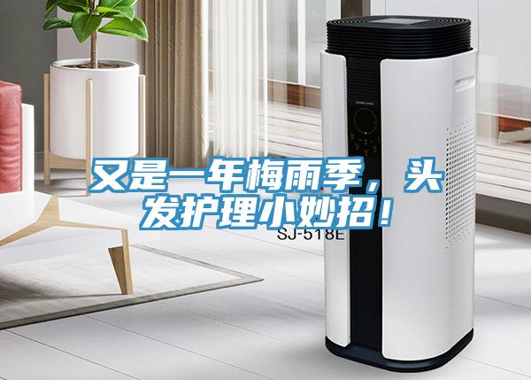 又是一年梅雨季，頭發(fā)護(hù)理小妙招！