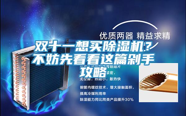 雙十一想買(mǎi)除濕機(jī)？不妨先看看這篇剁手攻略