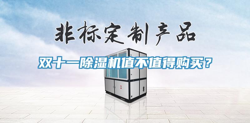 雙十一除濕機(jī)值不值得購(gòu)買(mǎi)？
