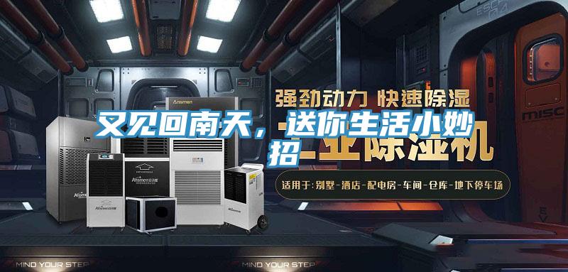 又見(jiàn)回南天，送你生活小妙招