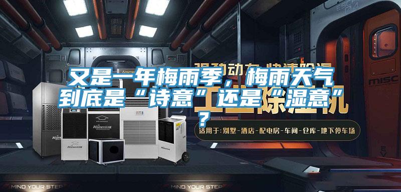又是一年梅雨季，梅雨天氣到底是“詩意”還是“濕意”？