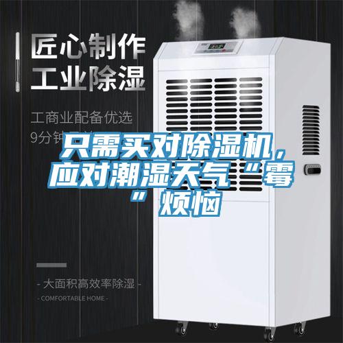 只需買對除濕機，應對潮濕天氣“霉”煩惱