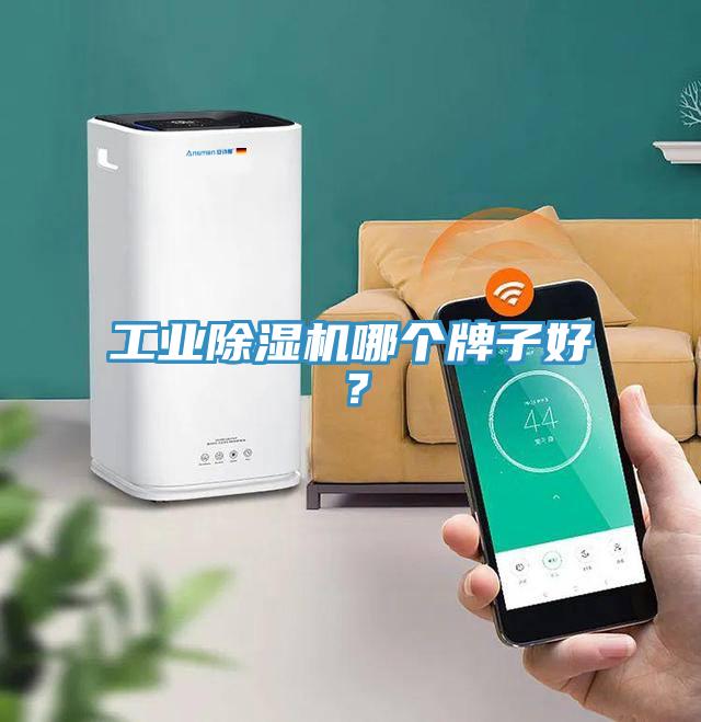 工業(yè)除濕機(jī)哪個(gè)牌子好？
