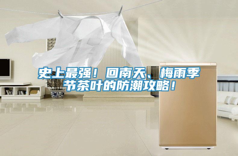 史上最強(qiáng)！回南天、梅雨季節(jié)茶葉的防潮攻略！
