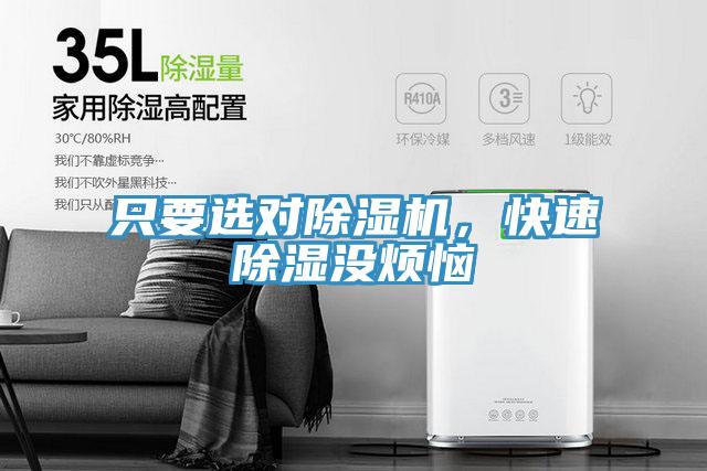 只要選對除濕機，快速除濕沒煩惱