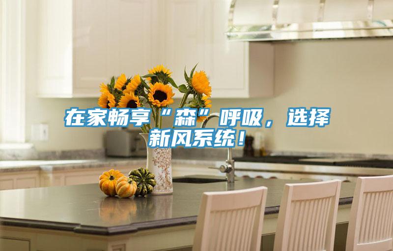 在家暢享“森”呼吸，選擇新風(fēng)系統(tǒng)！