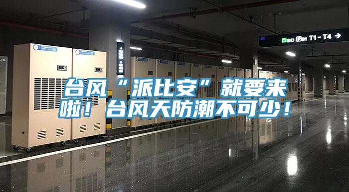 臺(tái)風(fēng)“派比安”就要來啦！臺(tái)風(fēng)天防潮不可少！