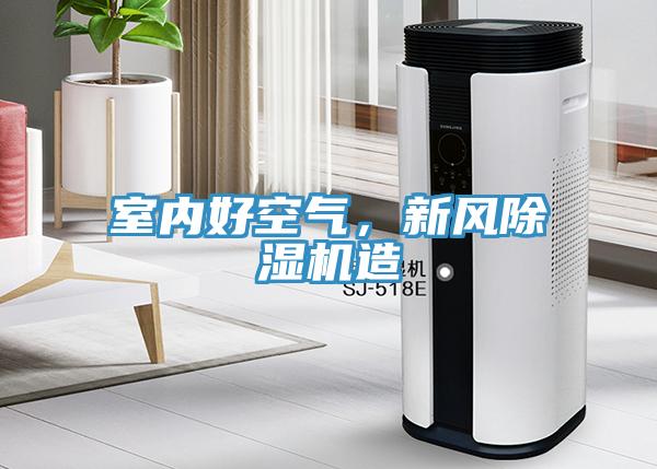 室內(nèi)好空氣，新風(fēng)除濕機(jī)造