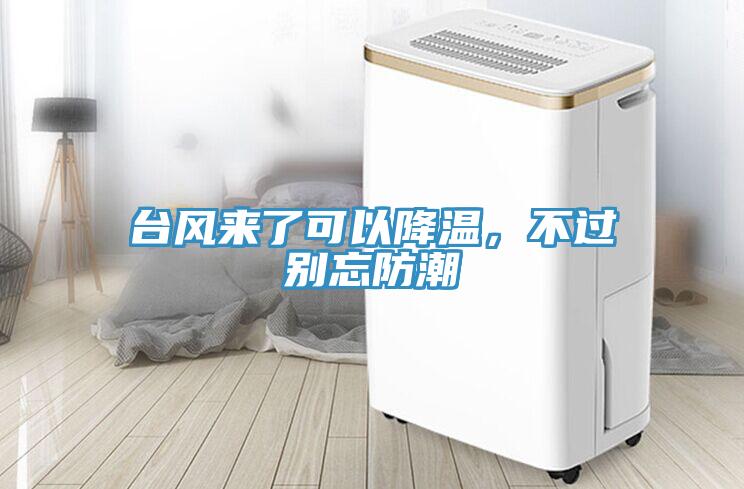臺(tái)風(fēng)來了可以降溫，不過別忘防潮