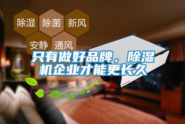只有做好品牌，除濕機企業(yè)才能更長久