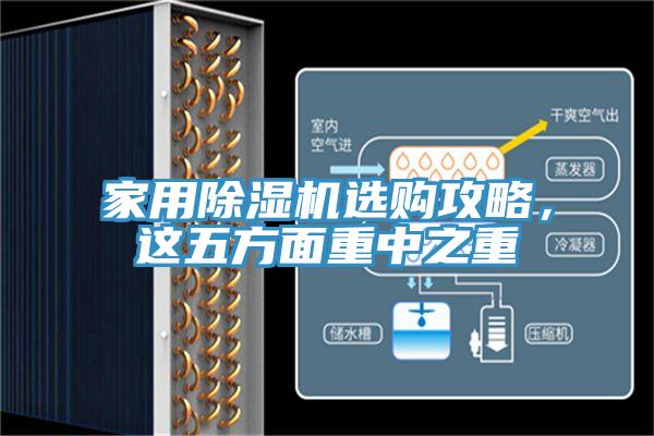 家用除濕機(jī)選購攻略，這五方面重中之重