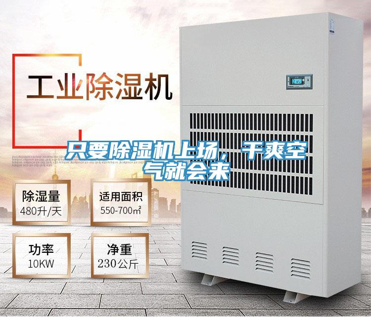 只要除濕機上場，干爽空氣就會來