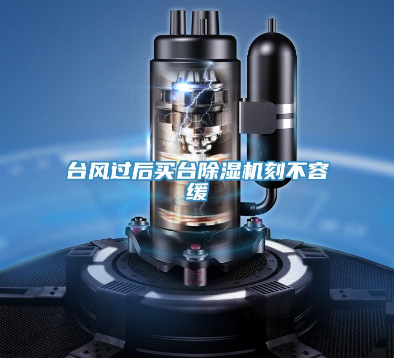 臺(tái)風(fēng)過后買臺(tái)除濕機(jī)刻不容緩
