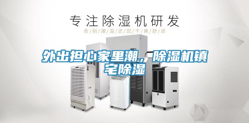 外出擔(dān)心家里潮，除濕機(jī)鎮(zhèn)宅除濕