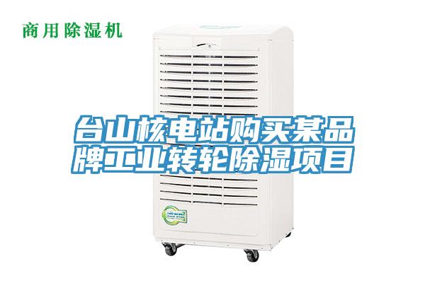 臺山核電站購買某品牌工業(yè)轉輪除濕項目