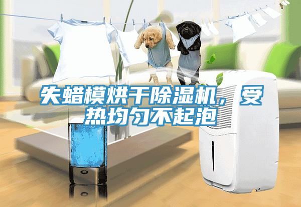 失蠟?zāi)：娓沙凉駲C(jī)，受熱均勻不起泡