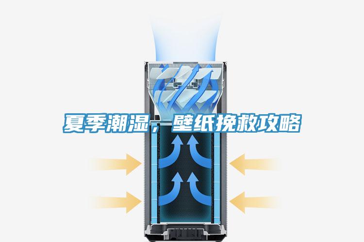 夏季潮濕，壁紙挽救攻略