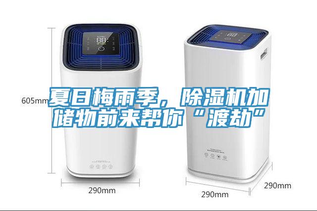 夏日梅雨季，除濕機(jī)加儲物前來幫你“渡劫”
