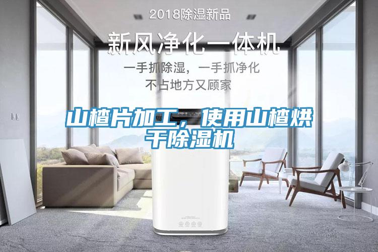 山楂片加工，使用山楂烘干除濕機(jī)