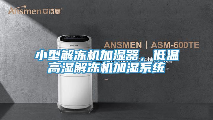 小型解凍機(jī)加濕器，低溫高濕解凍機(jī)加濕系統(tǒng)