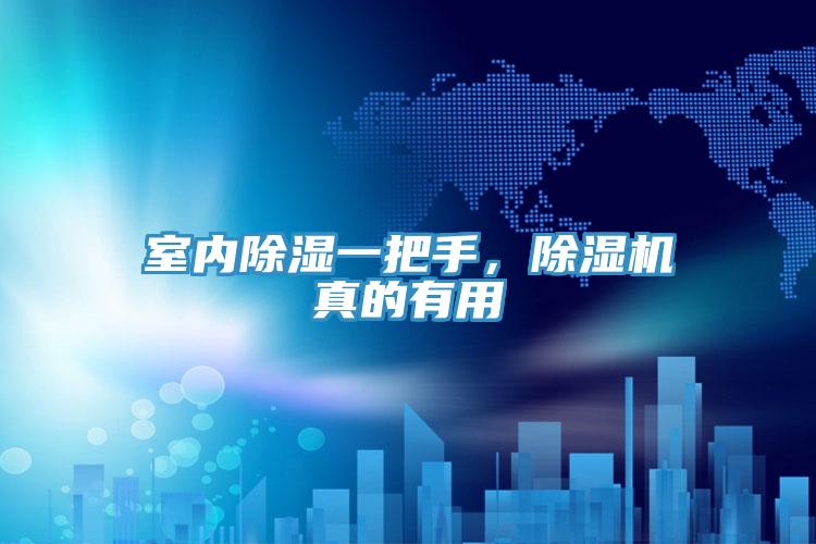 室內除濕一把手，除濕機真的有用