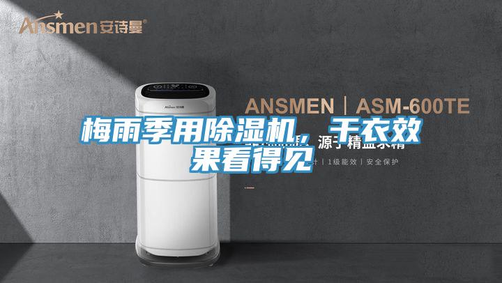 梅雨季用除濕機，干衣效果看得見