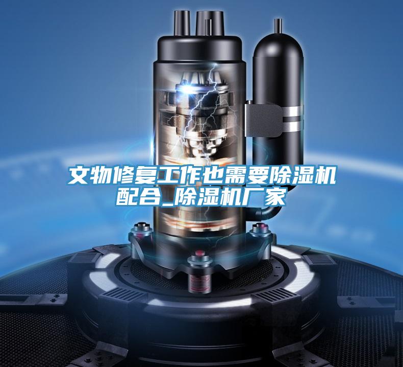 文物修復(fù)工作也需要除濕機配合_除濕機廠家