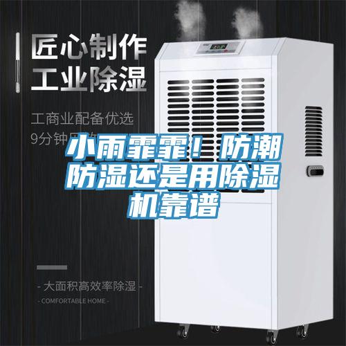 小雨霏霏！防潮防濕還是用除濕機(jī)靠譜