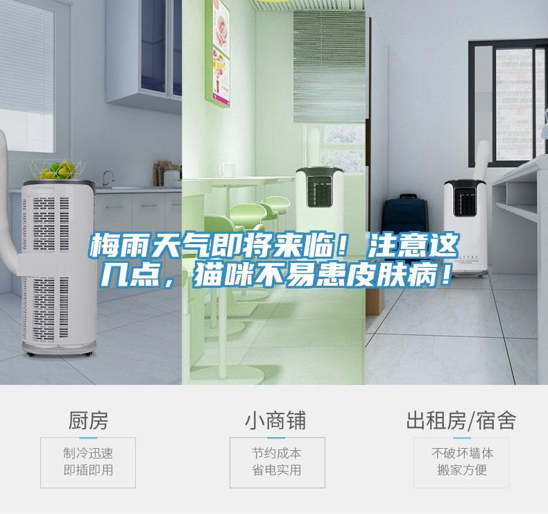 梅雨天氣即將來臨！注意這幾點(diǎn)，貓咪不易患皮膚??！