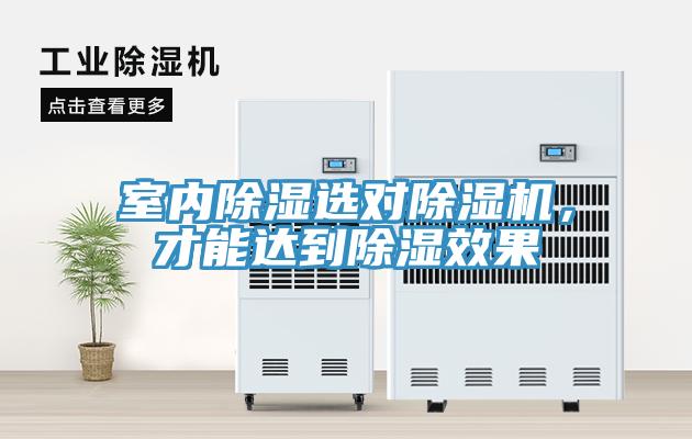 室內(nèi)除濕選對(duì)除濕機(jī)，才能達(dá)到除濕效果