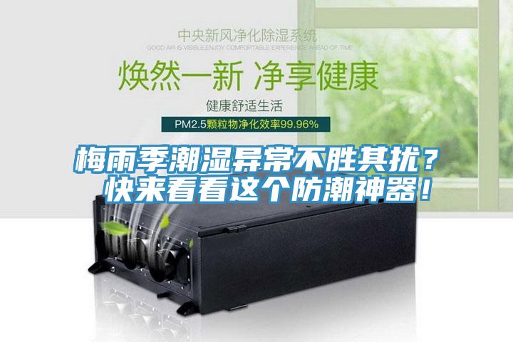 梅雨季潮濕異常不勝其擾？ 快來看看這個防潮神器！