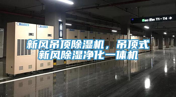 新風(fēng)吊頂除濕機，吊頂式新風(fēng)除濕凈化一體機