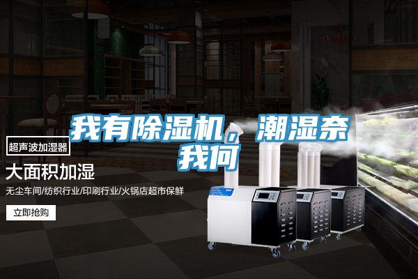 我有除濕機(jī)，潮濕奈我何