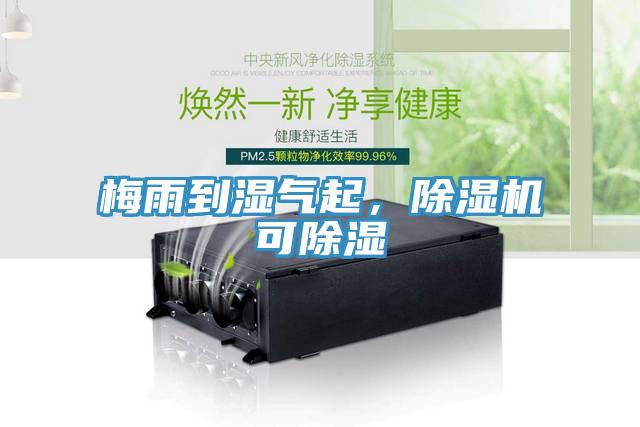 梅雨到濕氣起，除濕機可除濕