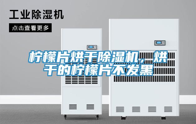檸檬片烘干除濕機，烘干的檸檬片不發(fā)黑