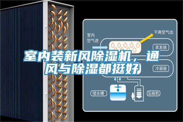 室內裝新風除濕機，通風與除濕都挺好