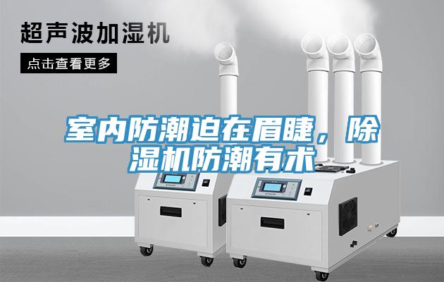 室內防潮迫在眉睫，除濕機防潮有術