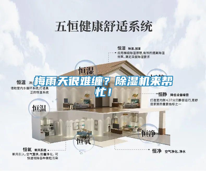 梅雨天很難纏？除濕機來幫忙！