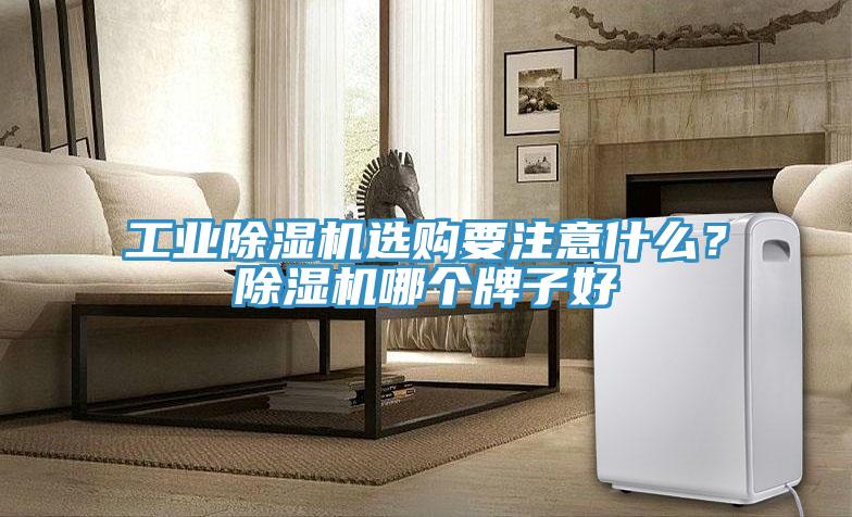 工業(yè)除濕機(jī)選購(gòu)要注意什么？除濕機(jī)哪個(gè)牌子好